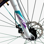 Bicicleta Aspen 2953L R29 21V Dis.alum.19 Shimano Negr-Amar